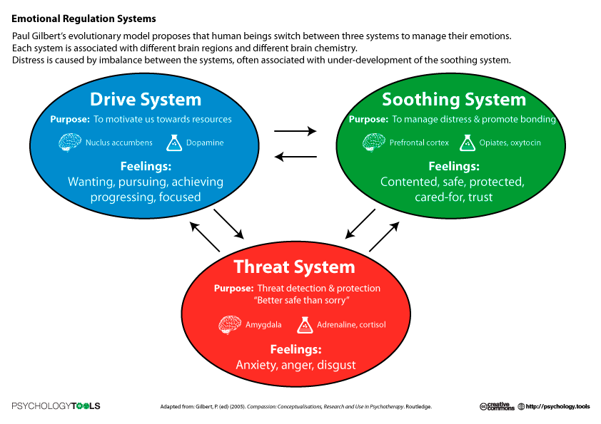 Emotional Regulations Systems