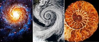 Photos of cosmos, weather, shell