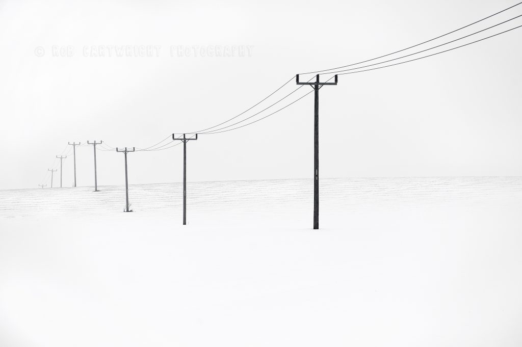 Telegraph poles in the snow