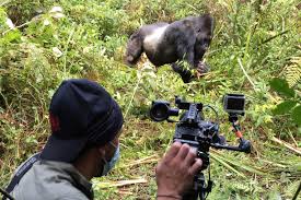 Wildlife camera operator